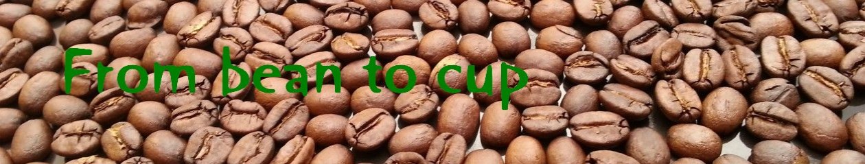 From bean to cup