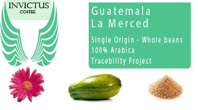 Guatemala – La Merced